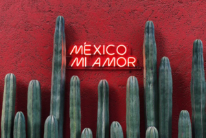 mexico mi amor text on a wall