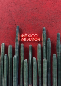 mexico mi amor text near cactus